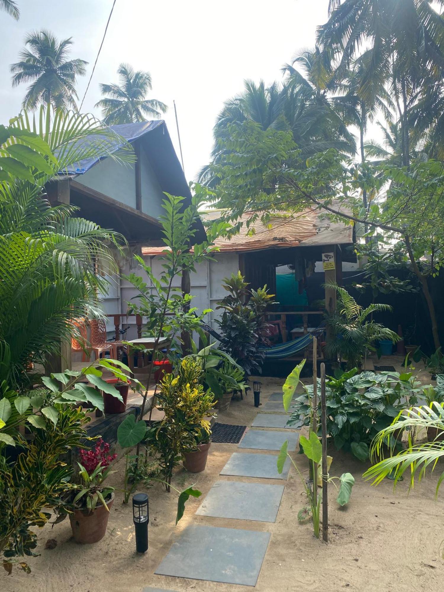 بيت شباب Tropical Bay بالوليم المظهر الخارجي الصورة
