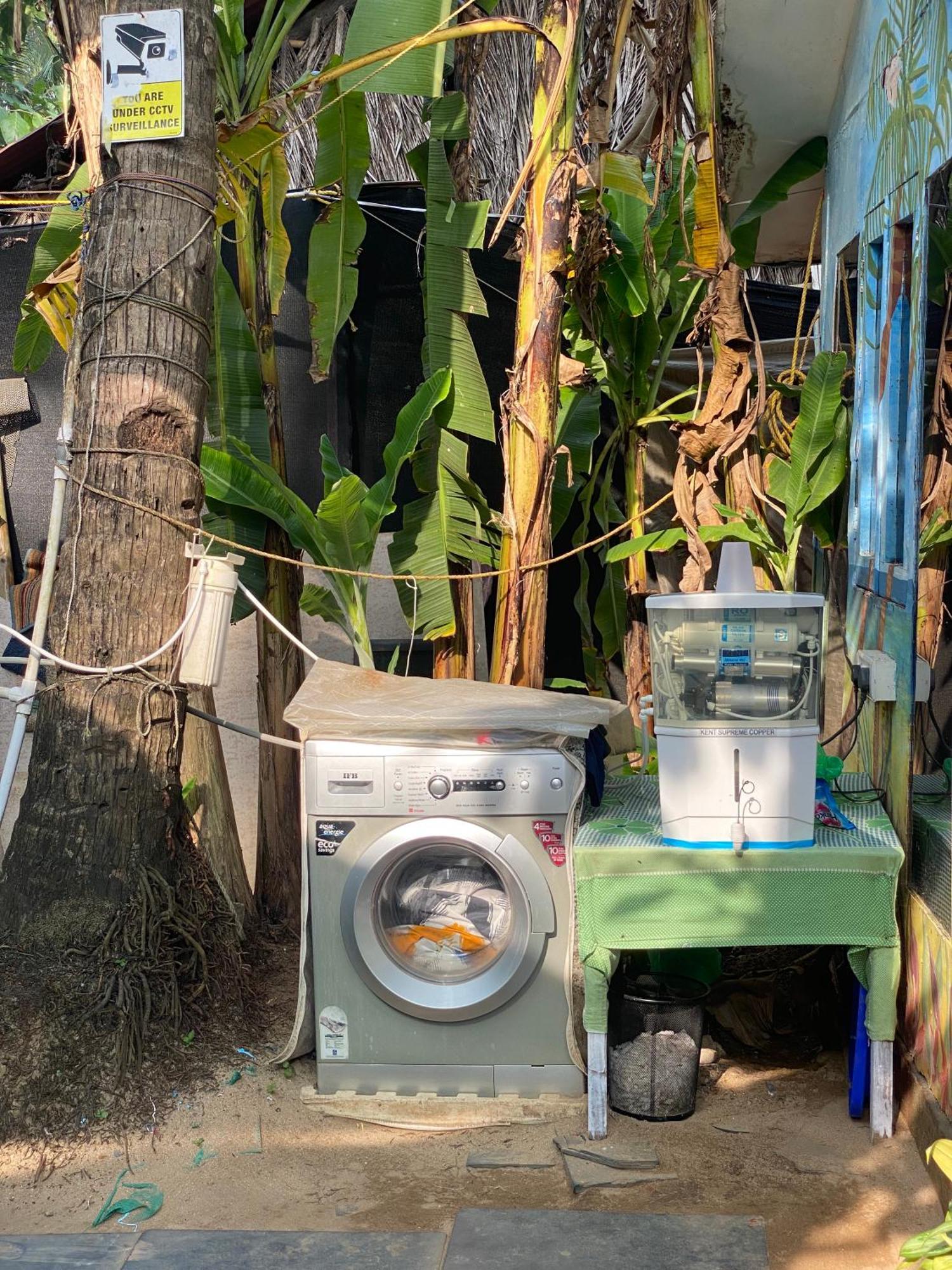 بيت شباب Tropical Bay بالوليم المظهر الخارجي الصورة